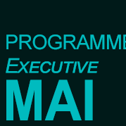 MS Achats Internationaux et Innovation - Executive